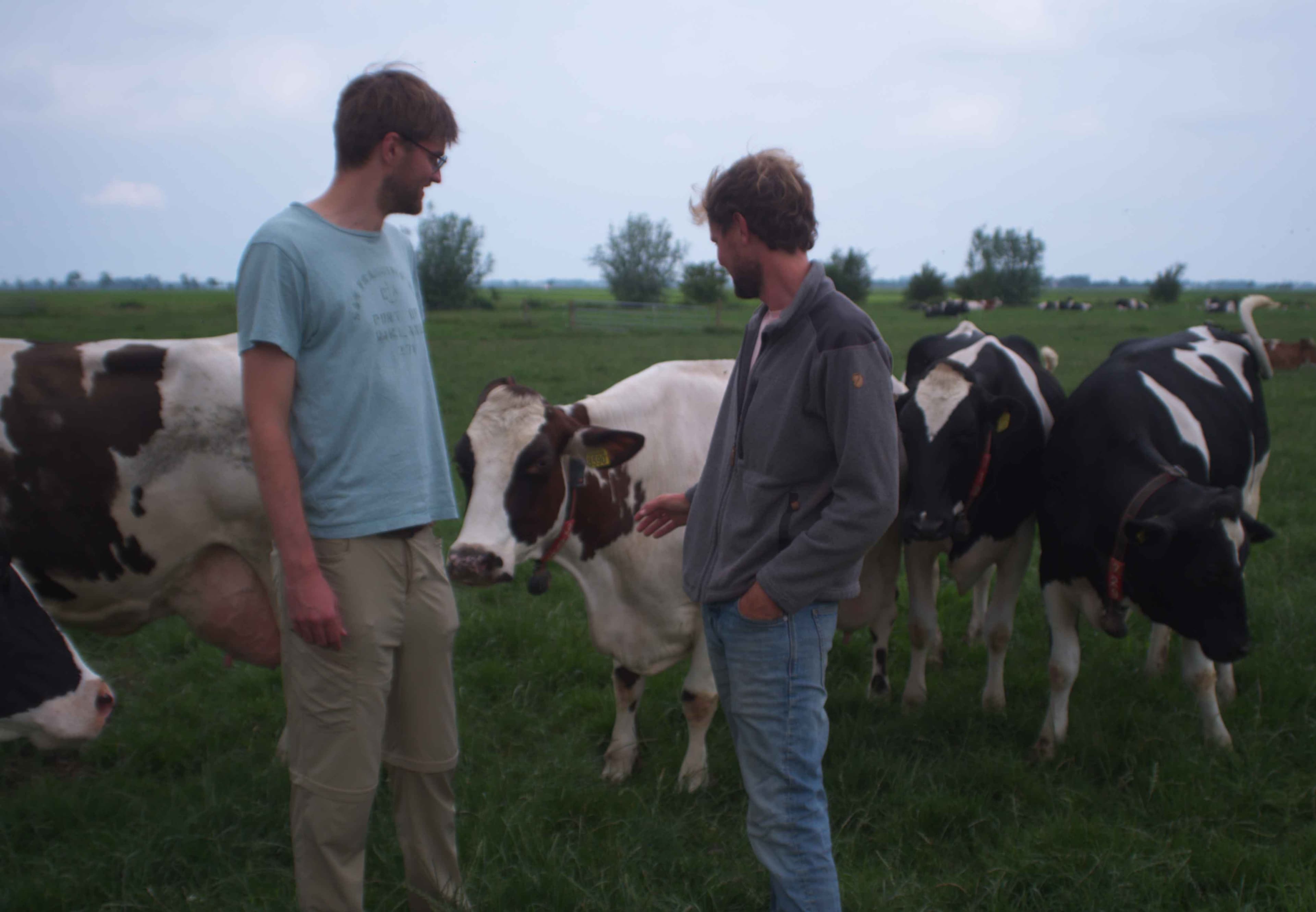 Sensor- en melkrobotdata op een modern melkveebedrijf